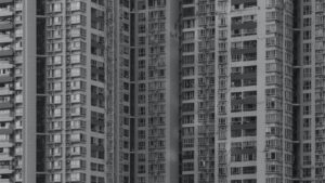 IMG_20241126_113347_697(1)