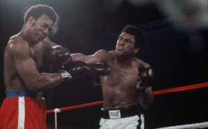 IMG_20241126_134140_171