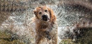 photo_2024-12-15_12-48-20