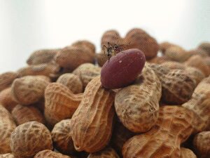 retouch_2025010914272538