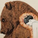 Oso libro