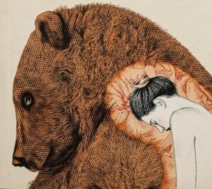 Oso libro